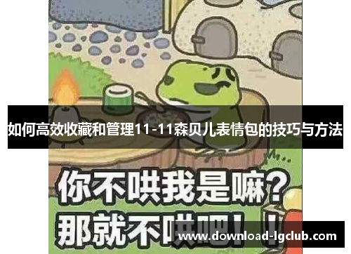 如何高效收藏和管理11-11森贝儿表情包的技巧与方法