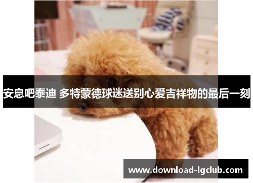 安息吧泰迪 多特蒙德球迷送别心爱吉祥物的最后一刻 安息吧泰迪 多特蒙德球迷送别心爱吉祥物的最后一刻