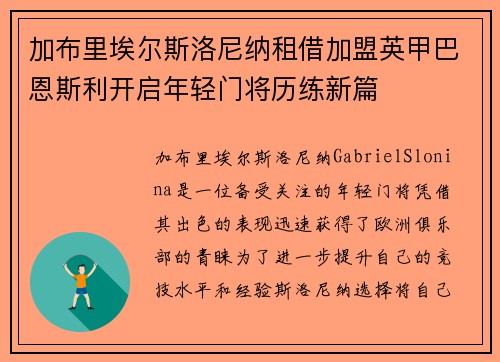 加布里埃尔斯洛尼纳租借加盟英甲巴恩斯利开启年轻门将历练新篇
